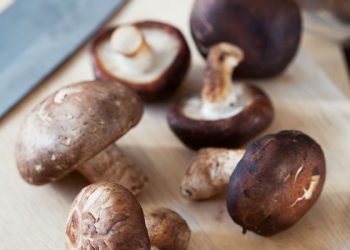 Una seta para combatir superbacterias