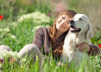 El amor de un perro no necesita de palabras