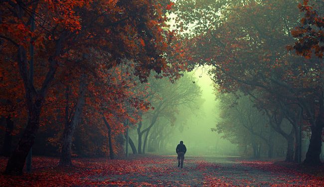 ¿Por qué tenemos la tendencia de insistir en la dirección equivocada?