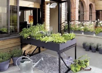 Claves para poner en marcha un huerto urbano en casa