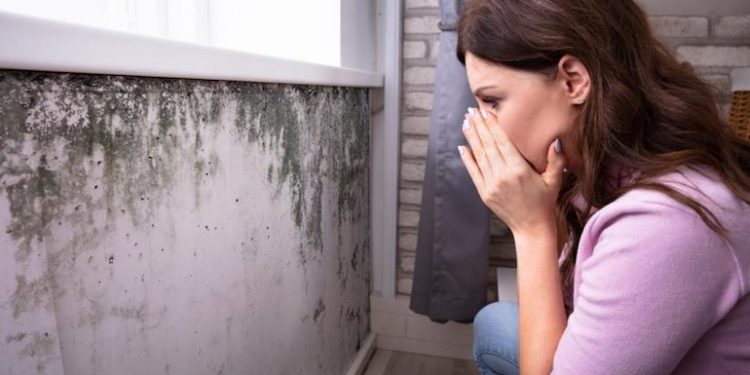 Como afecta el moho tu salud