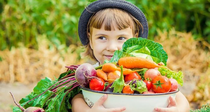 Consejos para una dieta infantil saludable