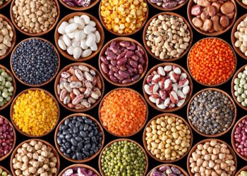 Tipos de legumbres: sus nutrientes