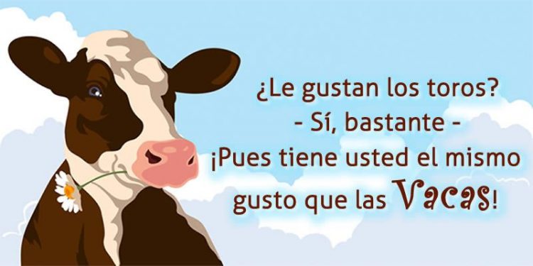 Como una vaca
