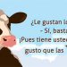 Como una vaca