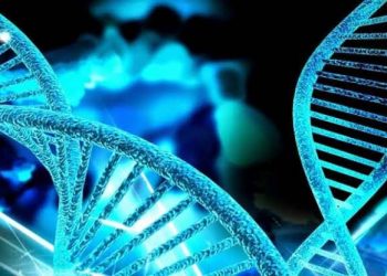 Herencia de condiciones genéticas