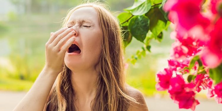 Evita la Alergia de Primavera