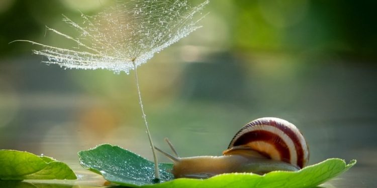 Qué define la Belleza