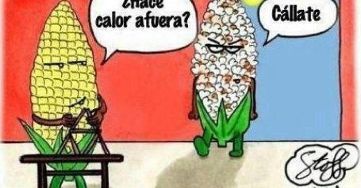 Hace calor