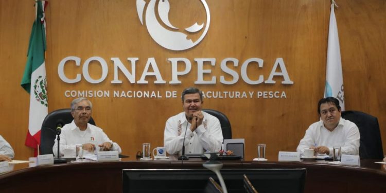 Solicitud de sector acuícola será atendido por Gob Fed