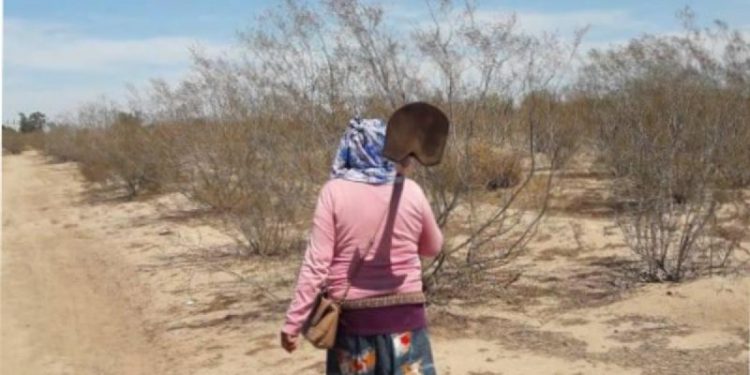 Madre Buscadora sufre amenazas