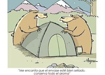 Campamento de verano