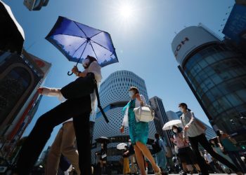Copiones en Sonora reducen la humedad en el calor en sus cuerpos