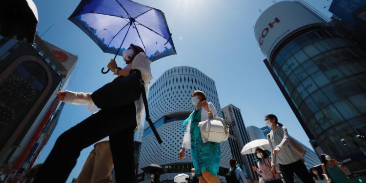 Copiones en Sonora reducen la humedad en el calor en sus cuerpos