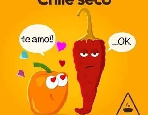 Chile seco