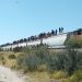 Para proteger la vida e integridad de las personas migrantes,  Ferromex suspende movimiento de trenes