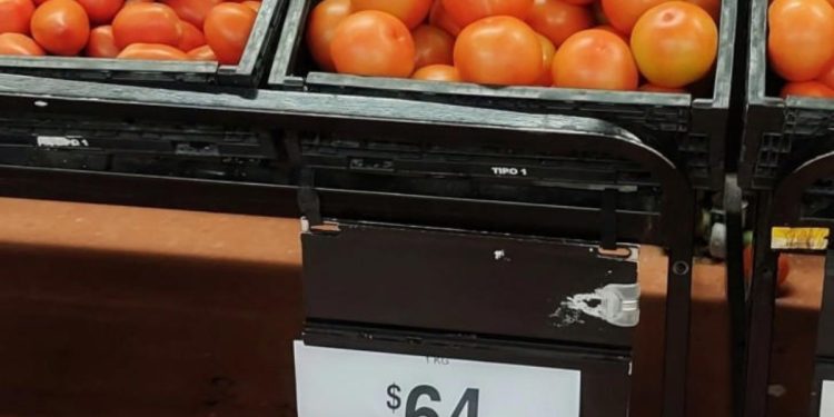 Canasta básica aumentó más del 30% los precios al iniciar el 2024