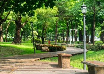 El parque de la Vida será un Monumento Memorial en honor a los Donadores