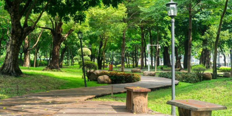 El parque de la Vida será un Monumento Memorial en honor a los Donadores