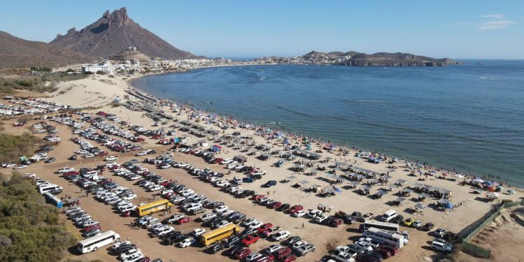 Las mantarrayas y los visitantes de San Carlos se portaron mejor esta Semana Santa