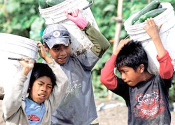 Más un millón de niños y niñas no van a la escuela. La escolaridad en México va a la baja
