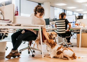 Este viernes lleva a tu perro al trabajo