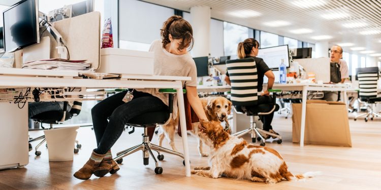 Este viernes lleva a tu perro al trabajo