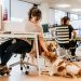 Este viernes lleva a tu perro al trabajo