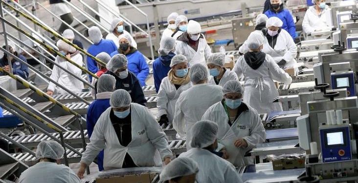 Disminuye la tasa de informalidad en Sonora y Hermosillo rompe récord