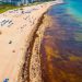 Realizarán Foro México – Unión Europea en Cancún para convertir el sargazo en una oportunidad para el Caribe