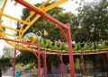 El parque infantil en Hemosillo es otra opción estas vacaciones