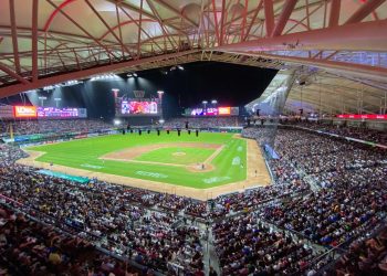 Asistentes a partidos de Beisbol podrían ser asegurados