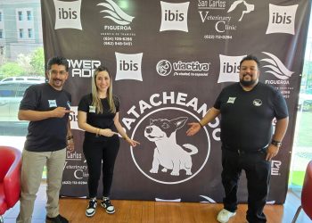 Patacheando por las mascotas especiales