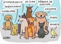 Todos te hablan