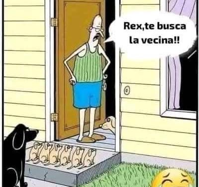 Vecinos