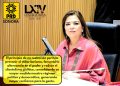 Una iniciativa de reforma de No Reelección presenta la Diputada Gabriela Tapia Fonllem