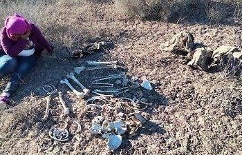 En el Senado Beltrones es la voz representante de 13 Colectivos en Búsqueda de Sonora