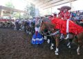IMSS impulsa la charrería como deporte nacional 