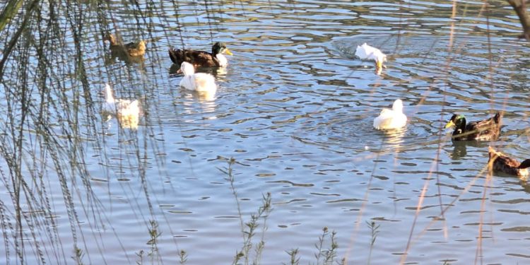 El Bosque Urbano La Sauceda tendrá actividades de Semana Santa