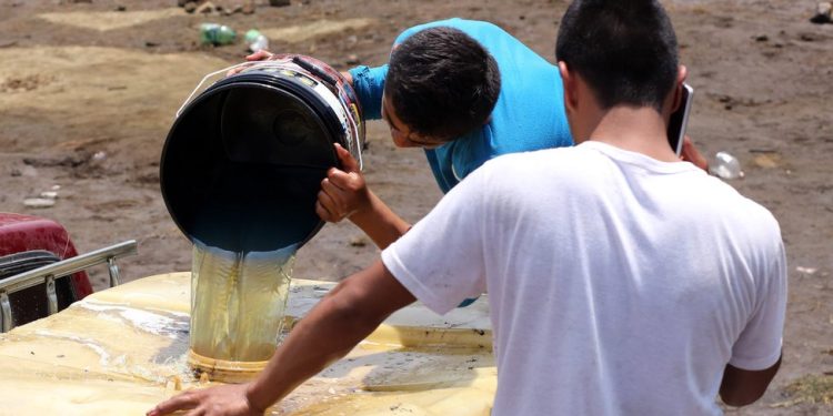 Urge blindar frontera sur para proteger estatus sanitario del ganado: Beltrones