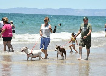 Gobierno Municipal garantiza seguridad y limpieza en Bahía de Kino durante vacaciones