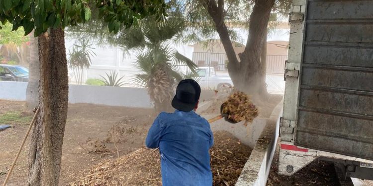 Dirección de Parques y Jardines mantendrá guardias operativas durante el periodo vacacional