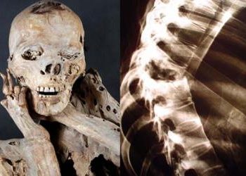 Curiosidades de la Ciencia que quizá desconoces