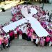 Conmemoran en Hermosillo el Día Mundial de la Lucha contra el Cáncer de Mama con lazo humano gigante