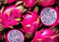Es una pitahaya mexicana