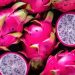 Es una pitahaya mexicana
