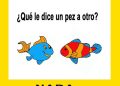 Diálogo de peces