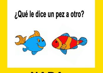 Diálogo de peces