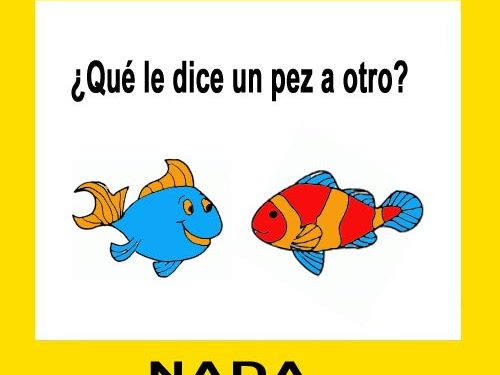 Diálogo de peces