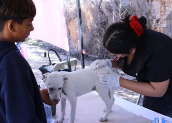 Estudiantes de la Unison realizan brigada de salud en el poblado Miguel Alemán